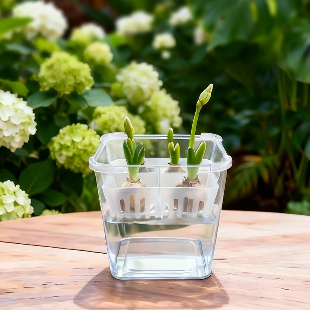 Wazon do uprawy tulipanów i li – Vase Decor recenzja i cena